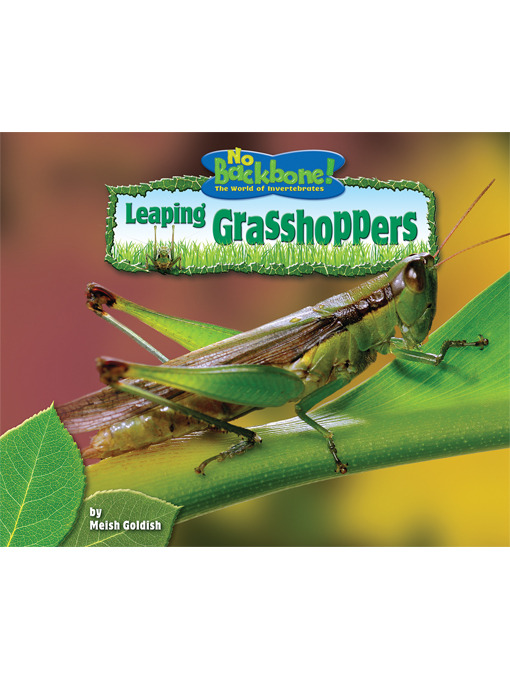 Cover image for Leaping Grasshoppers